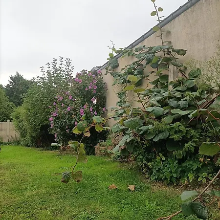 Chez Lullu