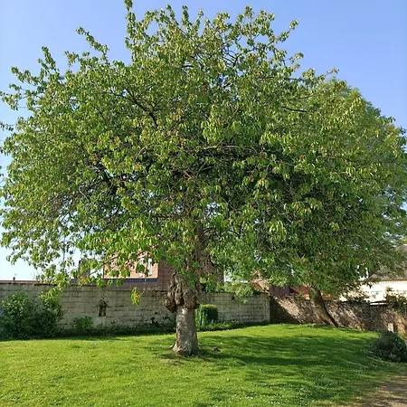 Chez Lullu